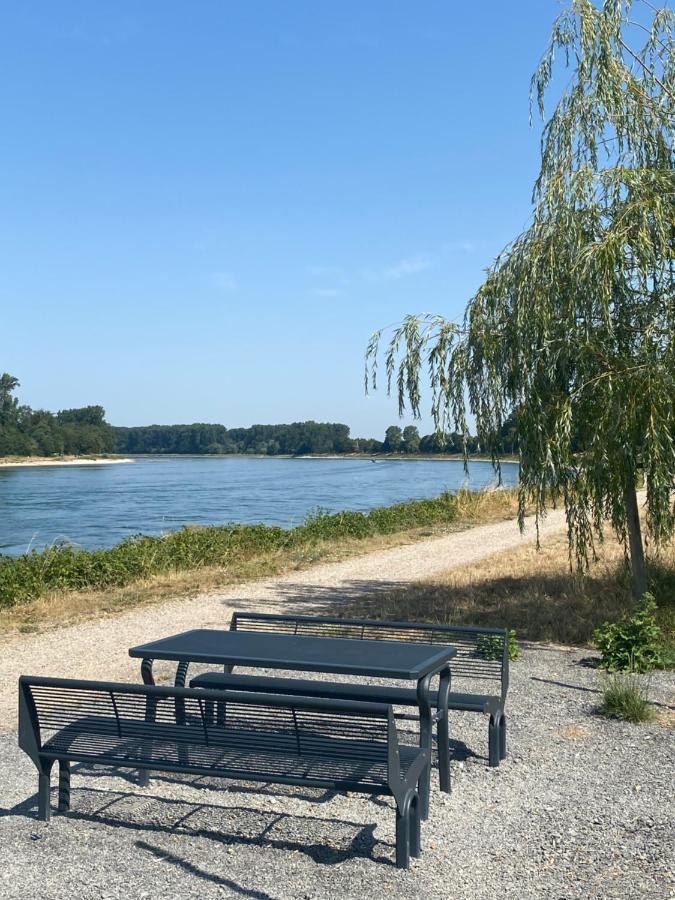 Ferienhaus Hoffmann Am Rheinbogen Altlussheim Extérieur photo